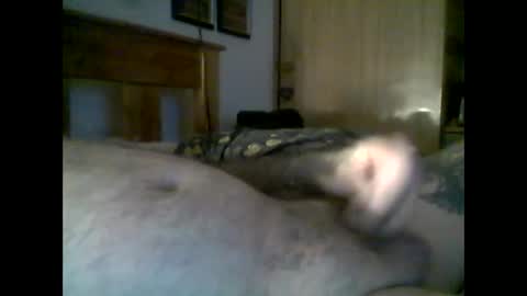 jerkmate6666 online show from 11-22-25, 09:25