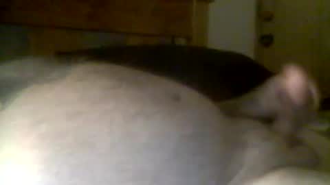 jerkmate6666 online show from 04-21-26, 11:49