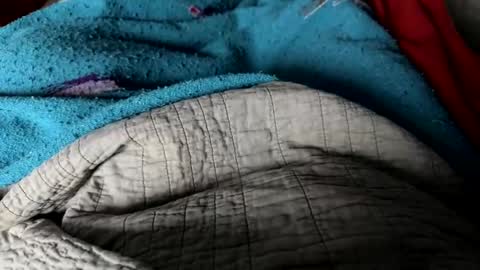 Snapshot of jerswill chatting on 12-25-24, 02:34 Jeremys room chill and puff one enjoy online show from 12-25-24, 02:34