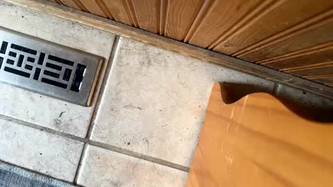 Snapshot of jerswill chatting on 09-19-25, 06:30 Jeremys room chill and puff one enjoy online show from 09-19-25, 06:30