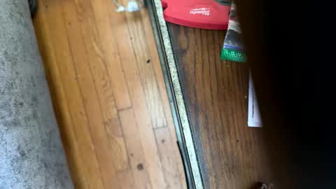 Jeremys room chill and puff one enjoy online show from 01-12-26, 08:25