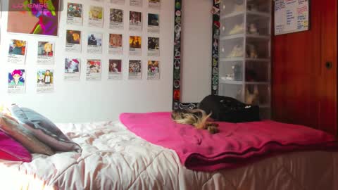 Your Sweet Angel online show from 02-12-26, 07:09