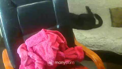 Snapshot of jessjess4you chatting on 02-02-25, 06:04 jessjess4you online show from 02-02-25, 06:04