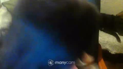 Snapshot of jessjess4you chatting on 02-15-25, 11:47 jessjess4you online show from 02-15-25, 11:47