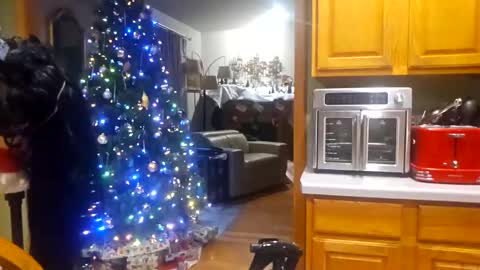 seductress Cyber Succubus online show from 12-18-25, 10:16