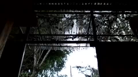 jesuyave online show from 04-19-26, 05:45