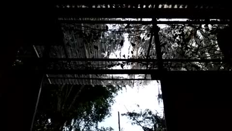 jesuyave online show from 04-19-26, 06:10