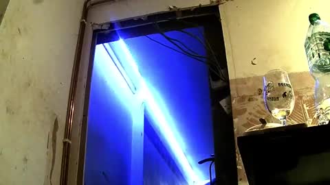 Snapshot of jhkhjku538466 chatting on 02-17-25, 04:09 jhkhjku538466 online show from 02-17-25, 04:09