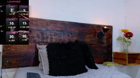 Snapshot of jhosuavega chatting on 10-01-25, 02:17 jhosuavega online show from 10-01-25, 02:17