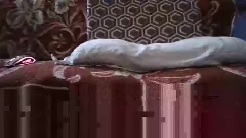 jimmyshelby12 online show from 01-25-25, 06:34