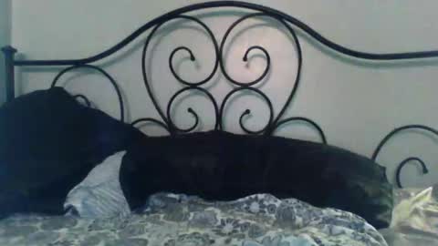 Snapshot of jimz169 chatting on 05-03-26, 02:06 Jimz14u online show from 05-03-26, 02:06