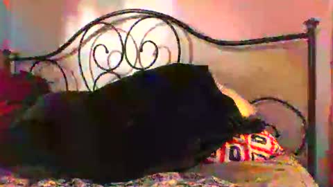 Snapshot of jimz169 chatting on 06-04-26, 12:27 Jimz14u online show from 06-04-26, 12:27