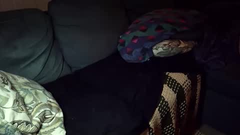 jjbeefy online show from 05-10-26, 01:00