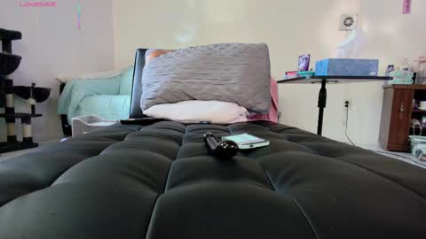 Nicole  Allen online show from 09-18-25, 10:01