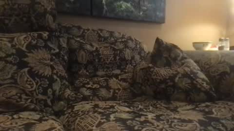 Snapshot of jlk7777 chatting on 12-04-24, 07:01 jlk7777 online show from 12-04-24, 07:01