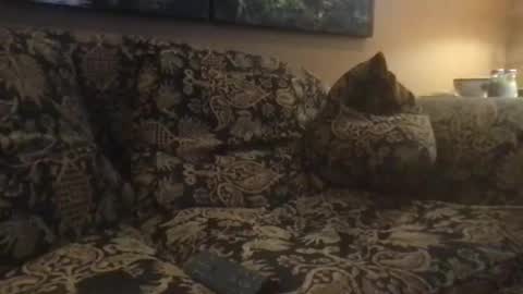 Snapshot of jlk7777 chatting on 02-25-25, 05:04 jlk7777 online show from 02-25-25, 05:04