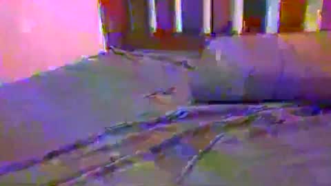 tip me online show from 02-17-25, 10:29