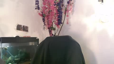 Nick online show from 12-06-24, 04:17