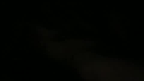 Snapshot of joe_3332 chatting on 05-15-26, 07:48 joe_3332 online show from 05-15-26, 07:48