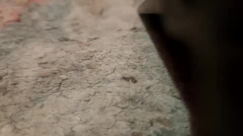 Snapshot of joemancini643 chatting on 09-21-25, 02:13 joemancini643 online show from 09-21-25, 02:13