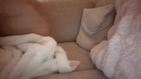 joeybanan online show from 12-14-25, 08:09