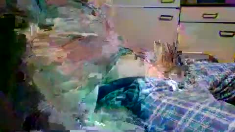 johnyboy34 online show from 01-17-26, 06:40