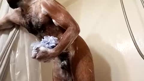 johenxxx online show from 11-25-25, 08:58