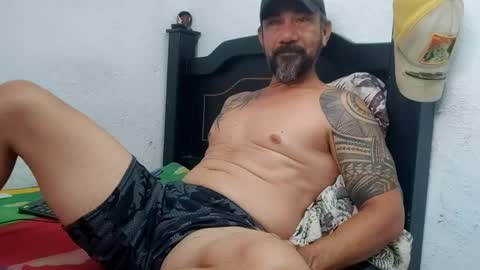   online show from 01-23-25, 09:29