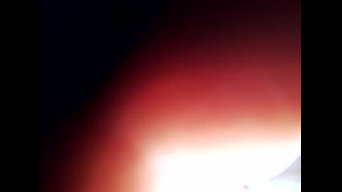 johnlong25cm online show from 12-24-24, 09:28