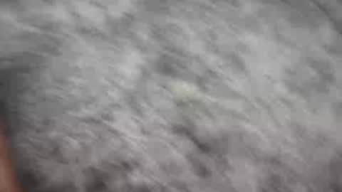 Johnny online show from 12-21-24, 01:58