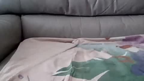 bigger than some online show from 03-05-25, 08:10