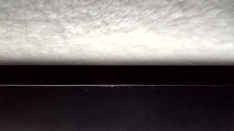 John loves pussy online show from 03-31-26, 03:30