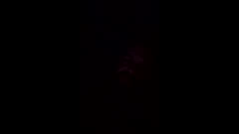 josephwalsh334 online show from 04-01-26, 07:31