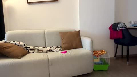 Snapshot of josh_xo chatting on 11-30-25, 12:25 josh_xo online show from 11-30-25, 12:25