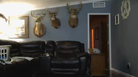 Josh online show from 03-26-26, 02:28