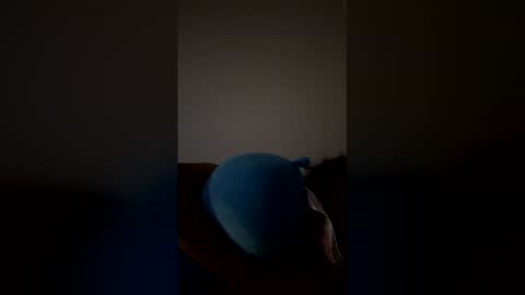 joshua_b11 online show from 03-28-26, 06:46