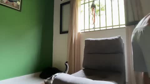 Im Jouliano online show from 07-19-26, 03:05