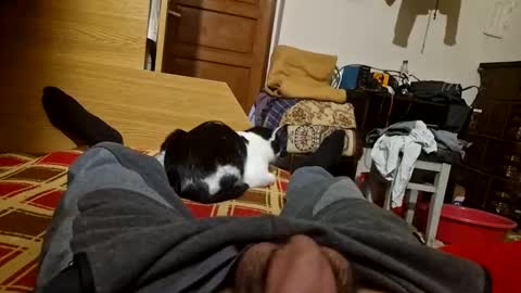 joyboy465468 online show from 10-26-25, 04:02