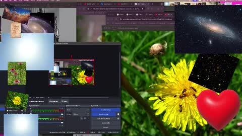 JP Sunflower Angel Love online show from 10-13-25, 09:09