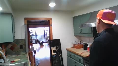 jroge21 online show from 01-26-25, 07:41