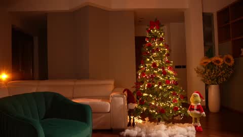 Jennifer Diaz online show from 12-14-24, 11:34