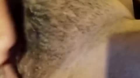 jsjsjdjsjjdx online show from 01-09-26, 03:53