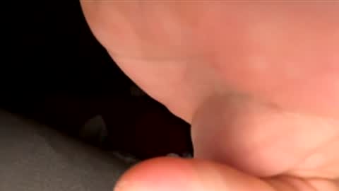 jst33456 online show from 11-30-25, 12:53