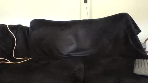 juanmamestre94 online show from 02-27-26, 02:39