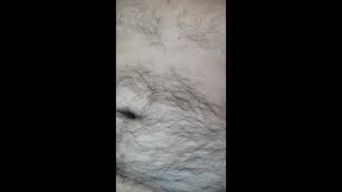 juegopromax707909 online show from 04-27-26, 11:08