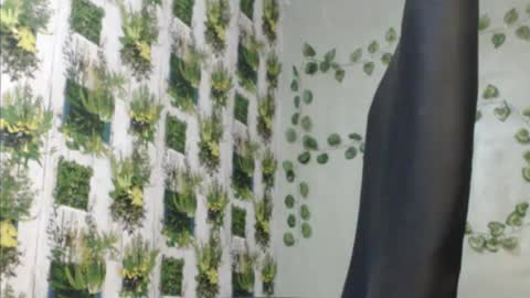 Mariagold online show from 12-09-24, 11:58