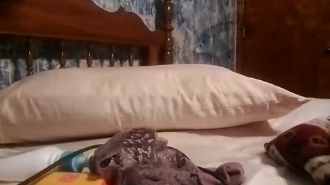 juicyj322 online show from 01-19-25, 09:11