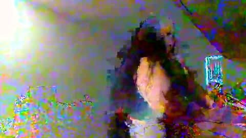 juicylatinabbw online show from 02-20-26, 04:07