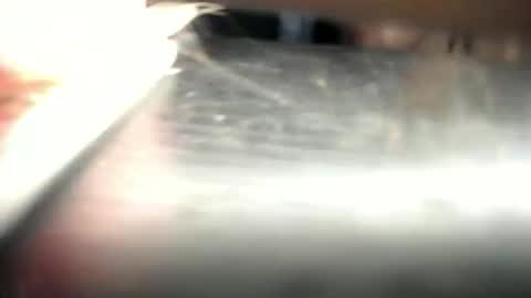 Den  online show from 03-23-26, 12:53