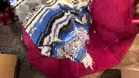 Juish5521 online show from 12-29-24, 03:03